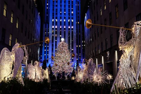 Photos The Rockefeller Center Christmas Trees Journey To The Big City