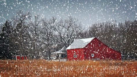 Christmas In July Red Barn In Snow Red Barn Red Barns Barn