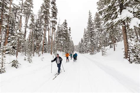 2 south drive, yonkers, ny 10704. Cross-country skiing North Rim Drive in Yellowstone ...