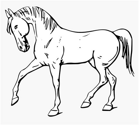 Horse outline clipart free download! Horse Clipart Black And White Outline, HD Png Download ...