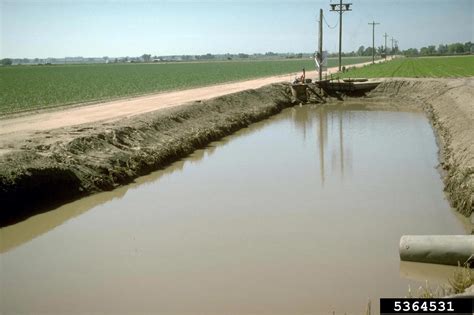 Irrigation 5364531