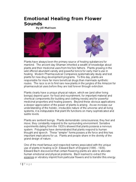 Maybe you would like to learn more about one of these? Emotional Healing from Flower Sounds: By Jill Mattson ...