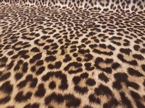 Leopard Velvet Upholstery Fabric Etsy