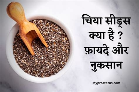 चिया सीड्स क्या है फ़ायदे और नुकसान Chia Seeds In Hindi