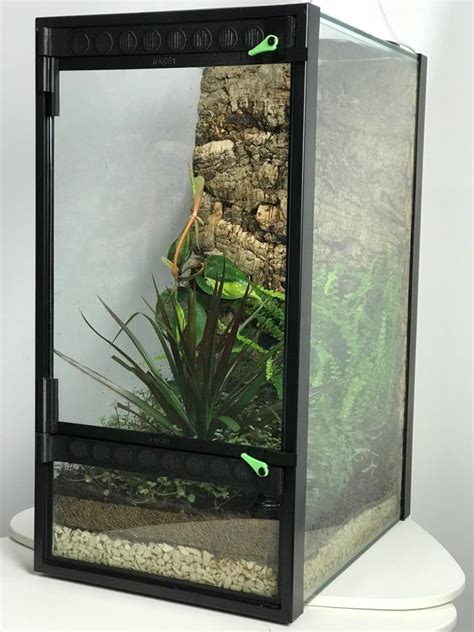 Frogcube Convert Your Aquarium Into A Terrarium Aquarium Terrarium