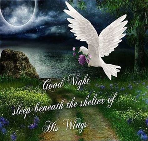 10 Special Good Night Pictures With Quotes
