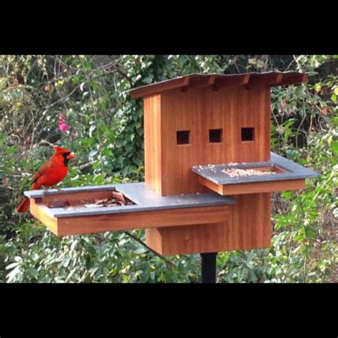 Cardinal nesting shelter bird house plans pdf construct101. Bird House Spa and Resort Woodworking Plan by Tobacco Road Guitars | birdhouse | Pinterest ...