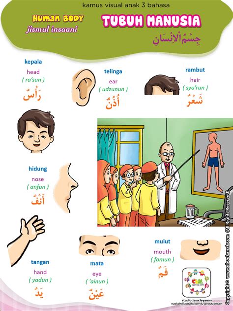 Anda akan berlibur ke negara arab? Belajar Bahasa Arab Anggota Tubuh - Wallpaper Books