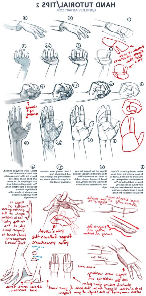 In this tutorial, we learn how to draw hands in the anime style. Female Hands Drawing at GetDrawings | Free download