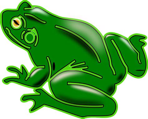 Amphibian Svg Download Amphibian Svg For Free 2019
