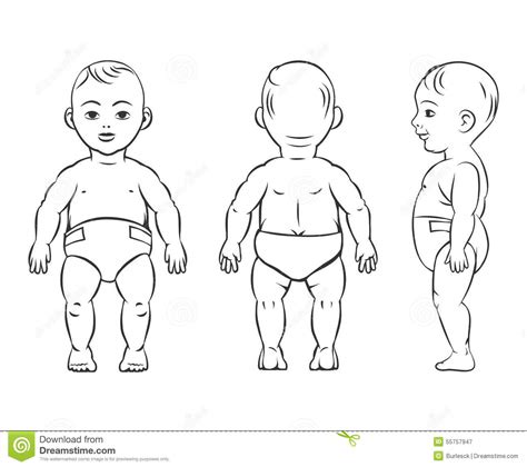 We usually make the assumption that the body is in normal resting anatomical position, and that joint movement occurs from this resting position. Baby Figure. Front, Side And Back View Stock Vector ...