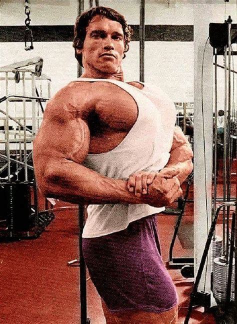Pin De Shawn Stone Em Classic Bodybuilders Arnold Schwarzenegger
