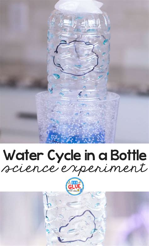Water Cycle In A Bottle Science Experiment Water Cycle Science