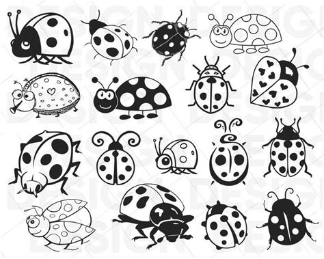 17 Ladybug Svg Lady Bug Svg Beetle Svg Ladybug Clipart Ladybug Dxf