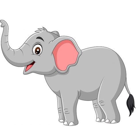 Elefante De Dibujos Animados Aislado Sobre Fondo Blanco Vector Premium