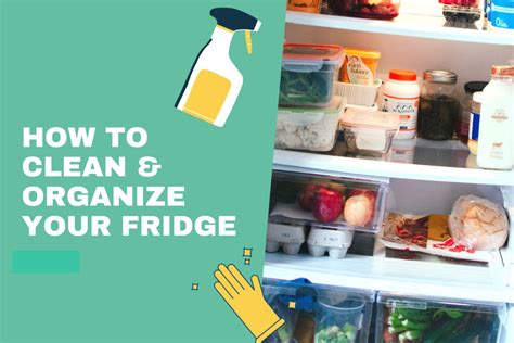 How To Clean And Organize Your Fridge Skill Success