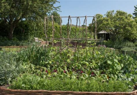 Unique Vegetable Garden Layout Ideas To Help You Plan Your Next Garden