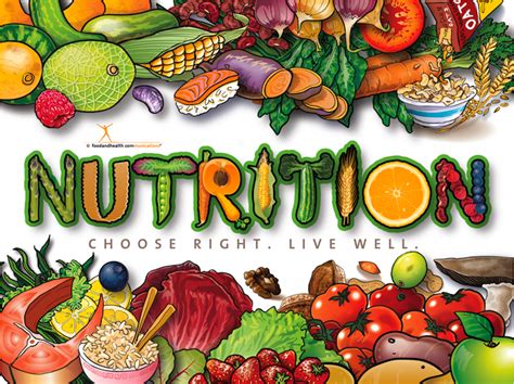 Nutrition And Diet Kate Driver Naturopath