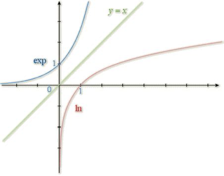 Fonctions Exponentielles Et Logarithmes Courbe Et Variations