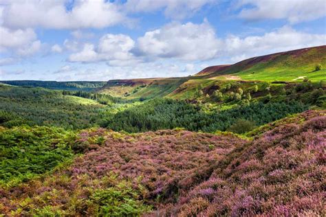 10 Amazing National Parks In The Uk For Gorgeous Views Wildlife And