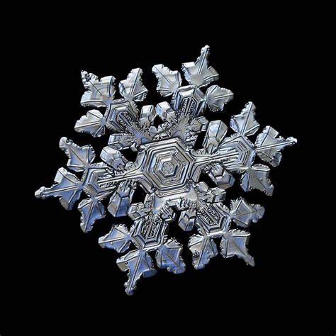 Alexey Kljatov Creating Snowflake Macro Photos Patreon Snowflakes