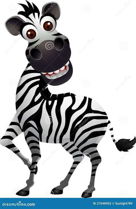 Zebra Cartoon Funny Cartoon And Vector Animal Characters