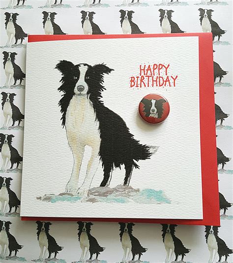 Border Collie Birthday Card With Badge Card With A Badge Etsy Uk
