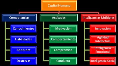 Componentes Del Capital Humano Download Scientific Diagram