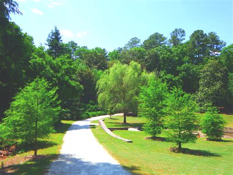 Helping our community grow food naturally & nutritiously. Pin on WillowTrack