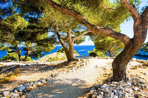 The Best Of The Calanques Provences Natural Wonder