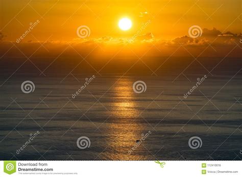 Early Morning Sunrise Over The Sea And A Birds Stock Photo Image Of