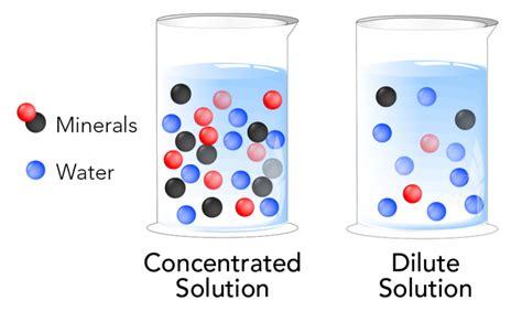 What Is The Difference Between Dilute And Concentrated Solution