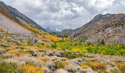 Fall Colors In Bishop Creek Canyon Stock Photo Image Of California