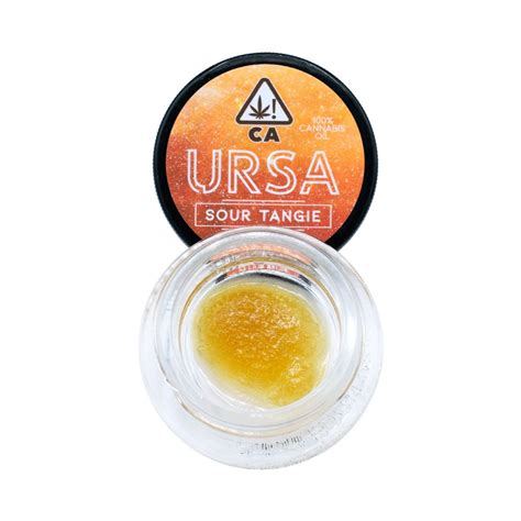 Ursa Extracts Sour Tangie Live Resin Leafly
