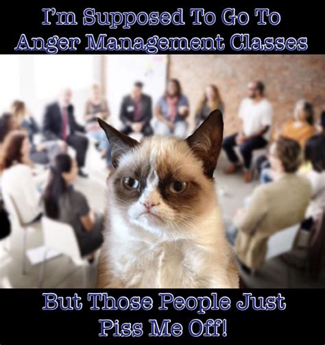 Grumpy Cat Doesnt Want To Go To Anger Management Classes Grumpy Cat