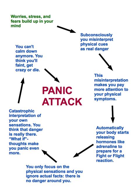 Panic Attack Circle Explained