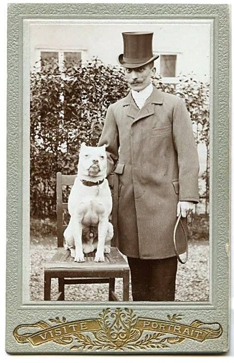 Early Bulldog~circa 1880 Vintage Dog Dog Poems Dog Photos