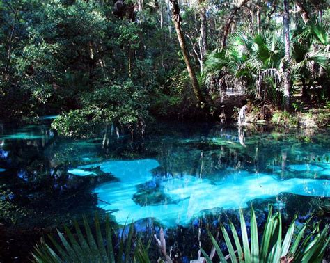 Juniper Springs Places To Travel Ocala National Forest Florida Travel
