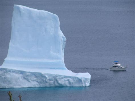 Icebergs Adventure Canada Circumnavigation Of Newfoundland Photo By