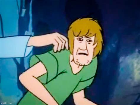 Image Tagged In Stoned Scooby Doo And Shaggy Imgflip