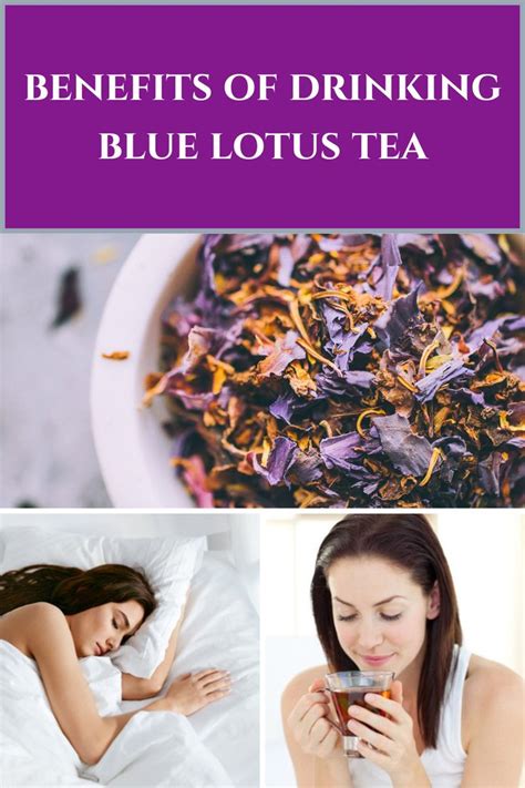 benefits of drinking blue lotus tea lotus tea blue lotus blue lotus flower