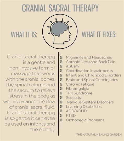 What Is Cranial Sacral Therapy Renaissance College Massage Program