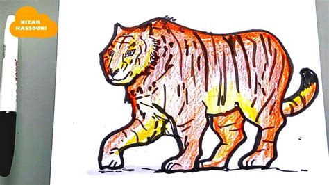 Comment dessiner un tigre facile à dessiner YouTube