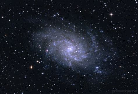 Gallery M33 Triangulum Galaxy Deep Sky Astrophotography