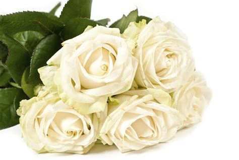 Find flowers to send for a death on theanswerhub.com. The 6 Types of Sympathy Flower Arrangements Used at ...
