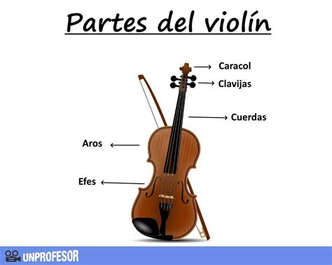 Arriba 76 Dibujo Partes Del Violin Vn