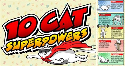 10 cool superpowers that your cat probably has