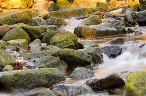Stream And Rocks Free Stock Photo Public Domain Pictures