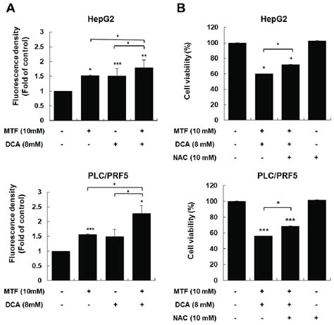 Co Treatment With Metformin And Dca Increased Oxidative Stress In Hepg2