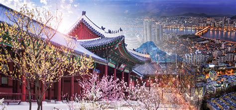 I have tour agency also working tour guide in korea. South Korea